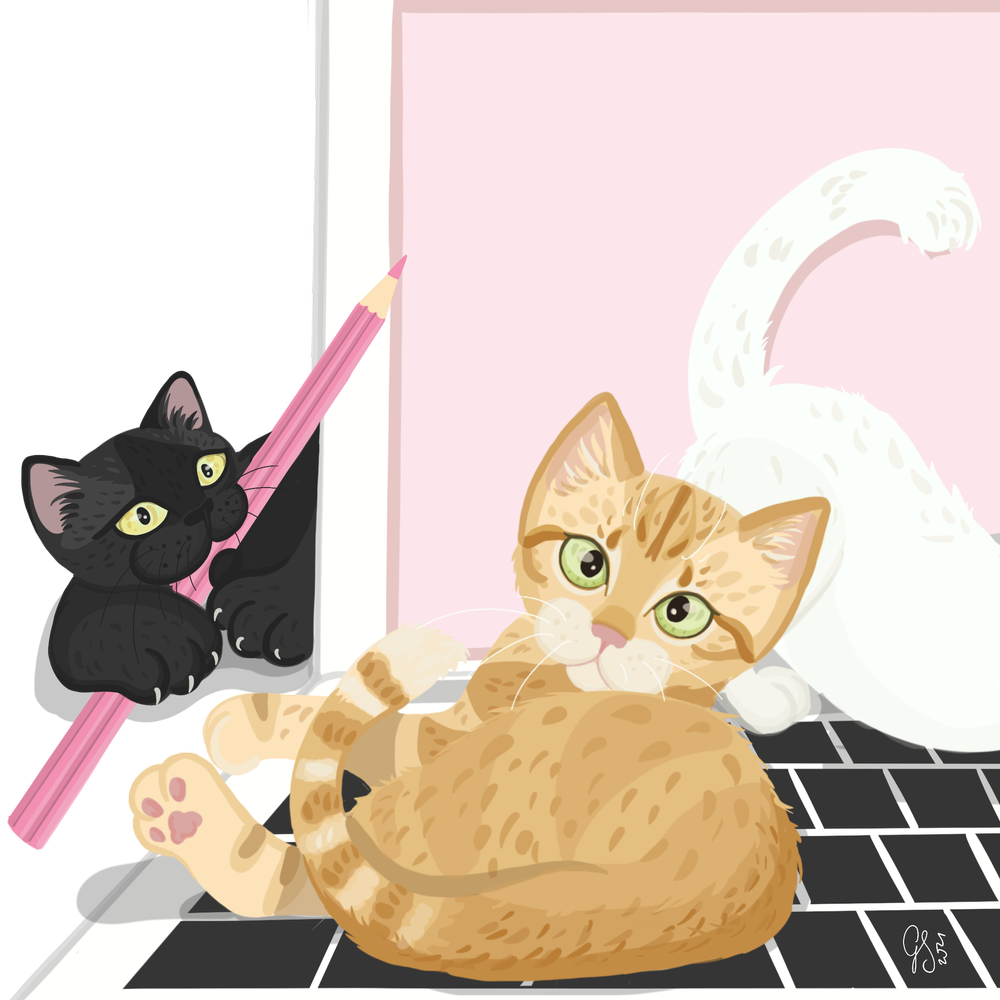 Curso: Escuela de Gatitos